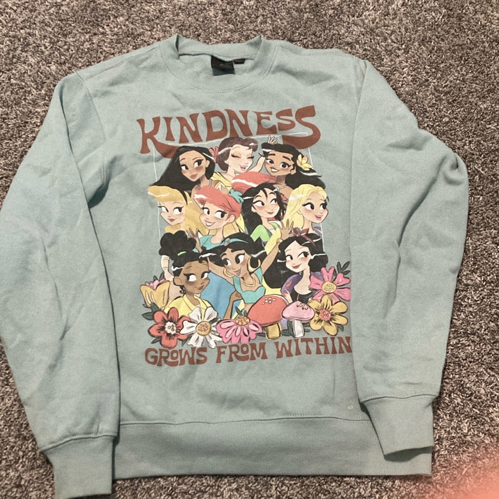 Disney Princess sweatshirt